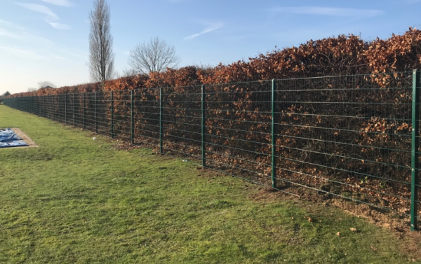 656 Mesh Panel School Fencing Essex