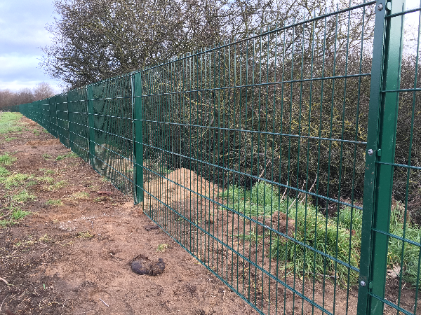 656 Double Wire Mesh Panel Fencing Essex