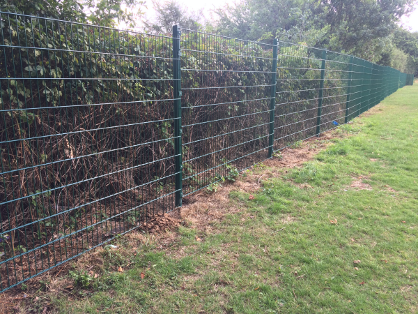 868 Mesh Fencing