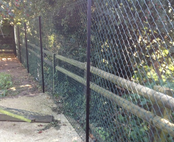 Chain Link Fencing London