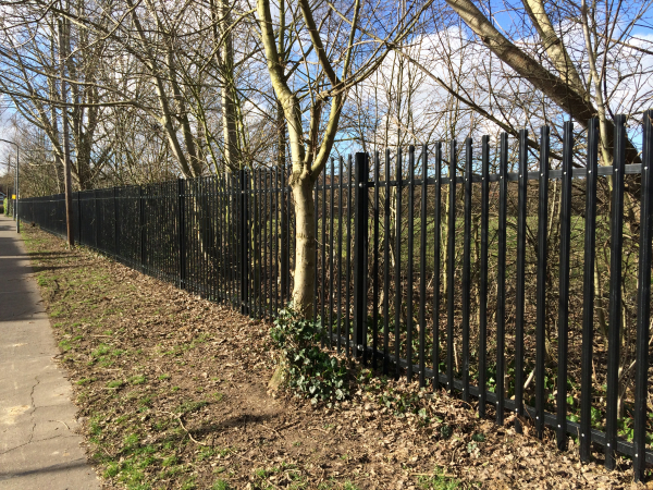 Palisade School Fencing Loughton