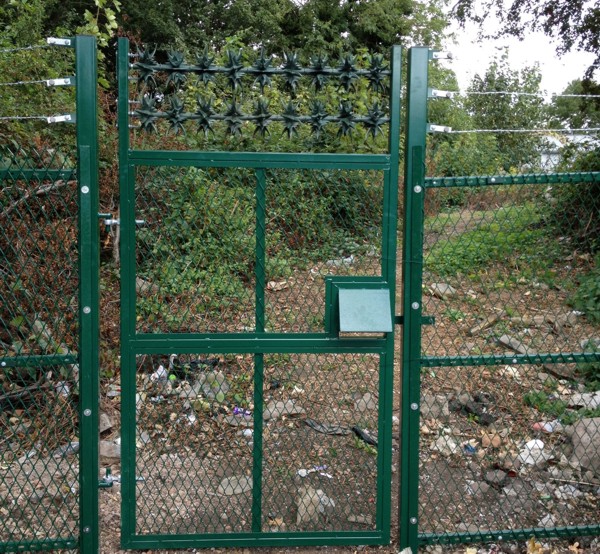 Security Gate with Raptor