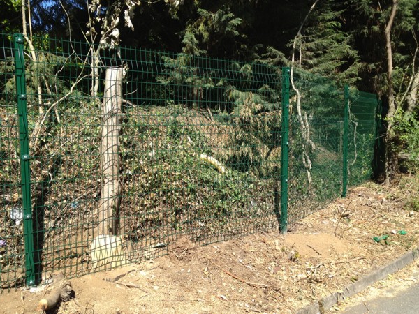 V Mex Mesh Panel Fencing