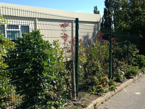 Eclipse Mesh Fencing